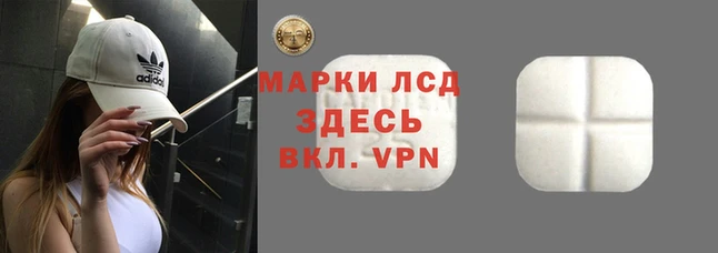 ешки Алзамай