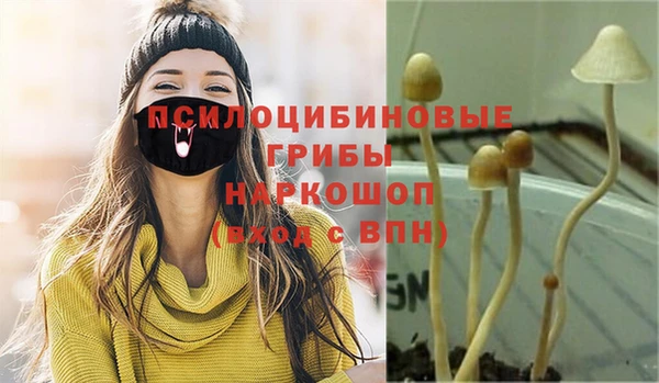 ешки Алзамай