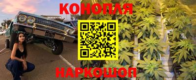 spice Заводоуковск