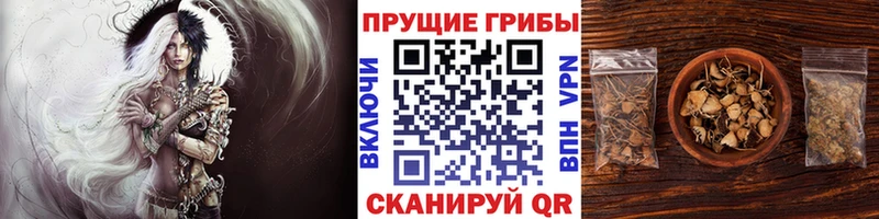 где купить наркоту Родники Галлюциногенные грибы Magic Shrooms