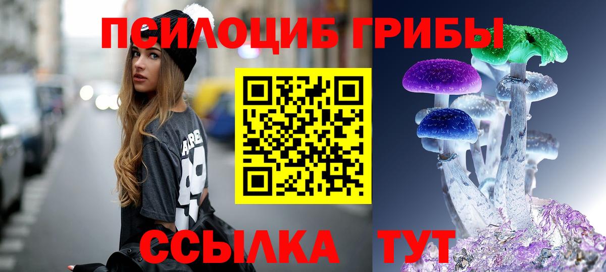 Псилоцибиновые грибы Cubensis  Вход с VPN  Родники 